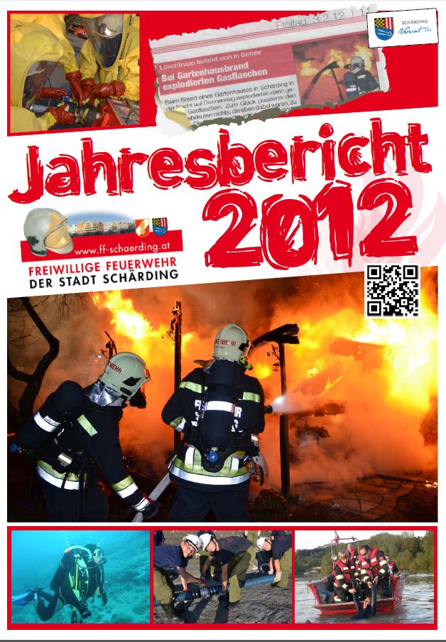 icon jahresbericht 2012