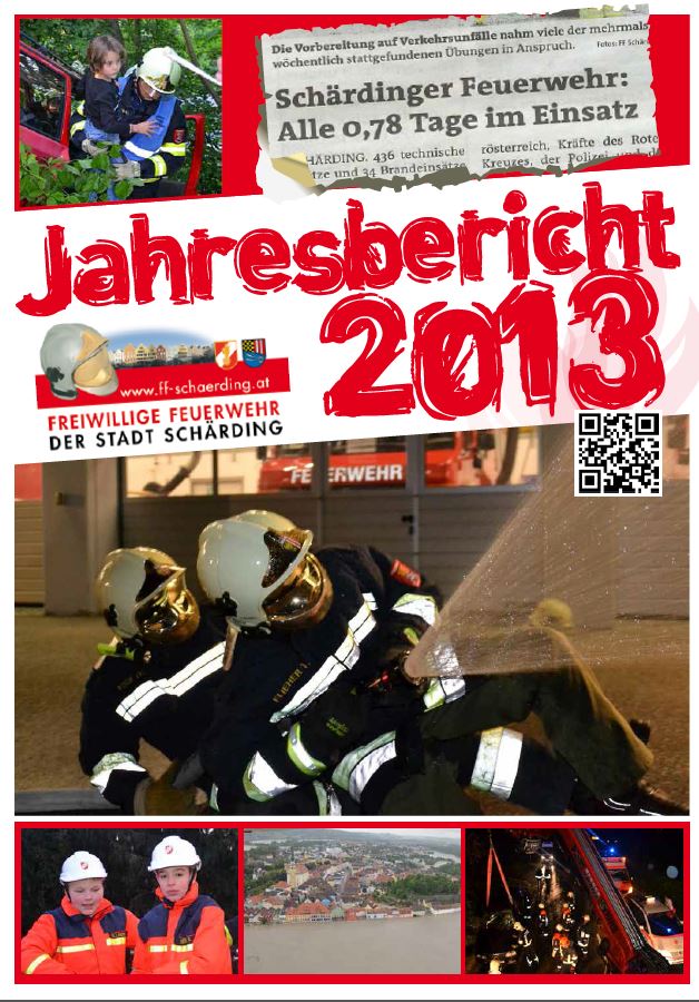 icon jahresbericht 2013