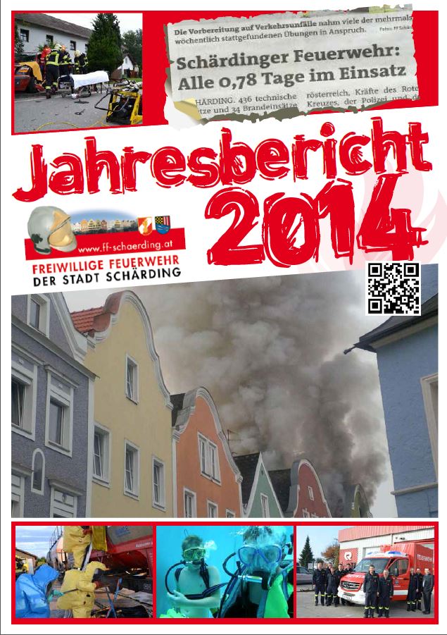 icon jahresbericht 2014