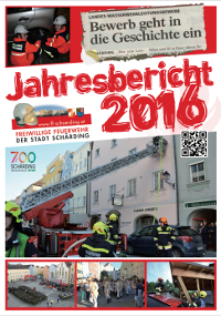 icon jahresbericht 2016