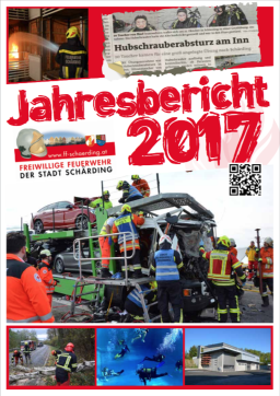 icon jahresbericht 2017