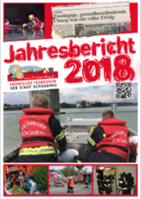 icon jahresbericht 2018