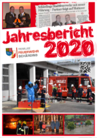 icon jahresbericht 2020